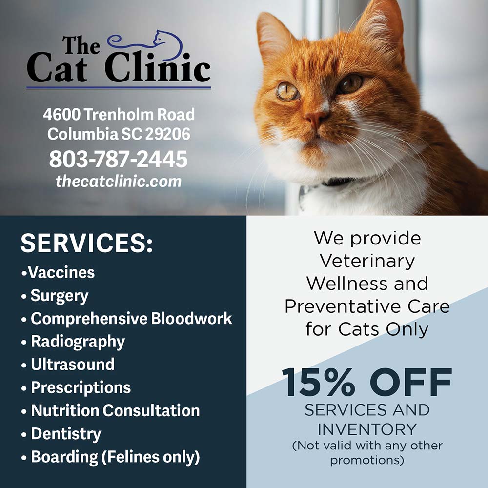 The Cat Clinic