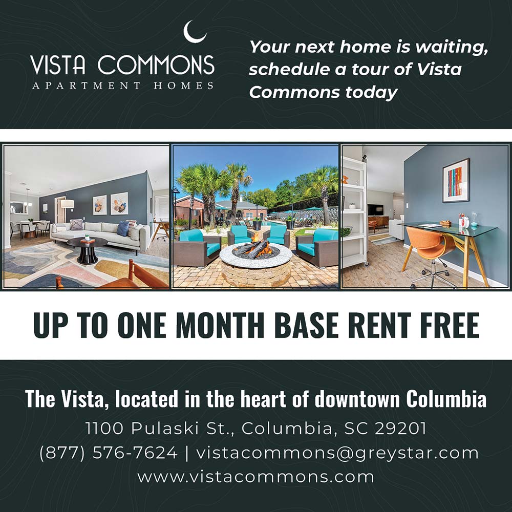 Vista Commons