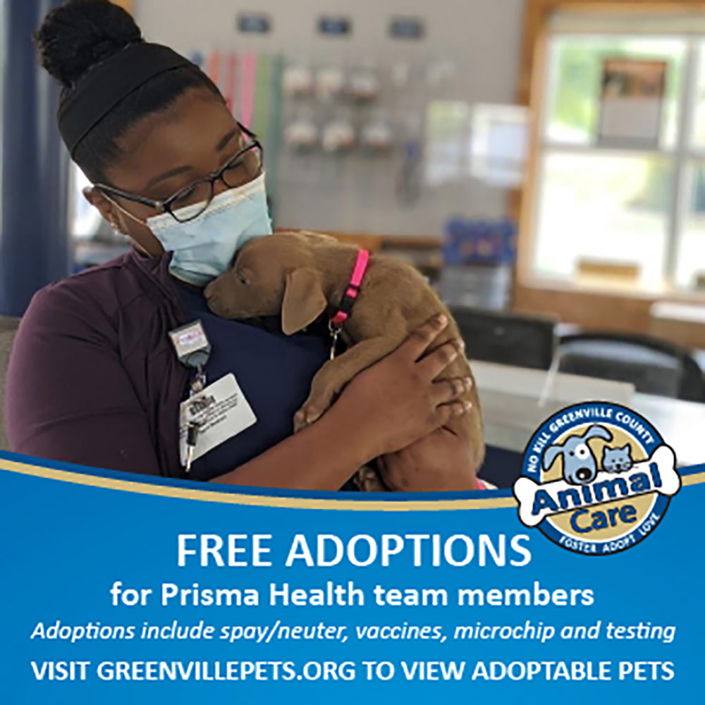 Greenville County Animal Care