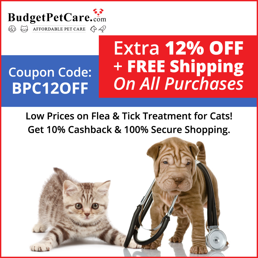 Budget Pet Care