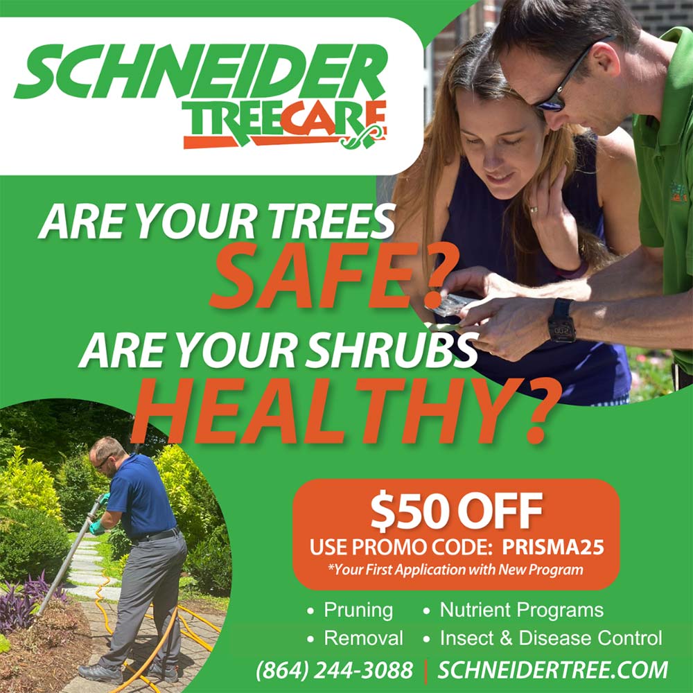 Schneider Tree Care