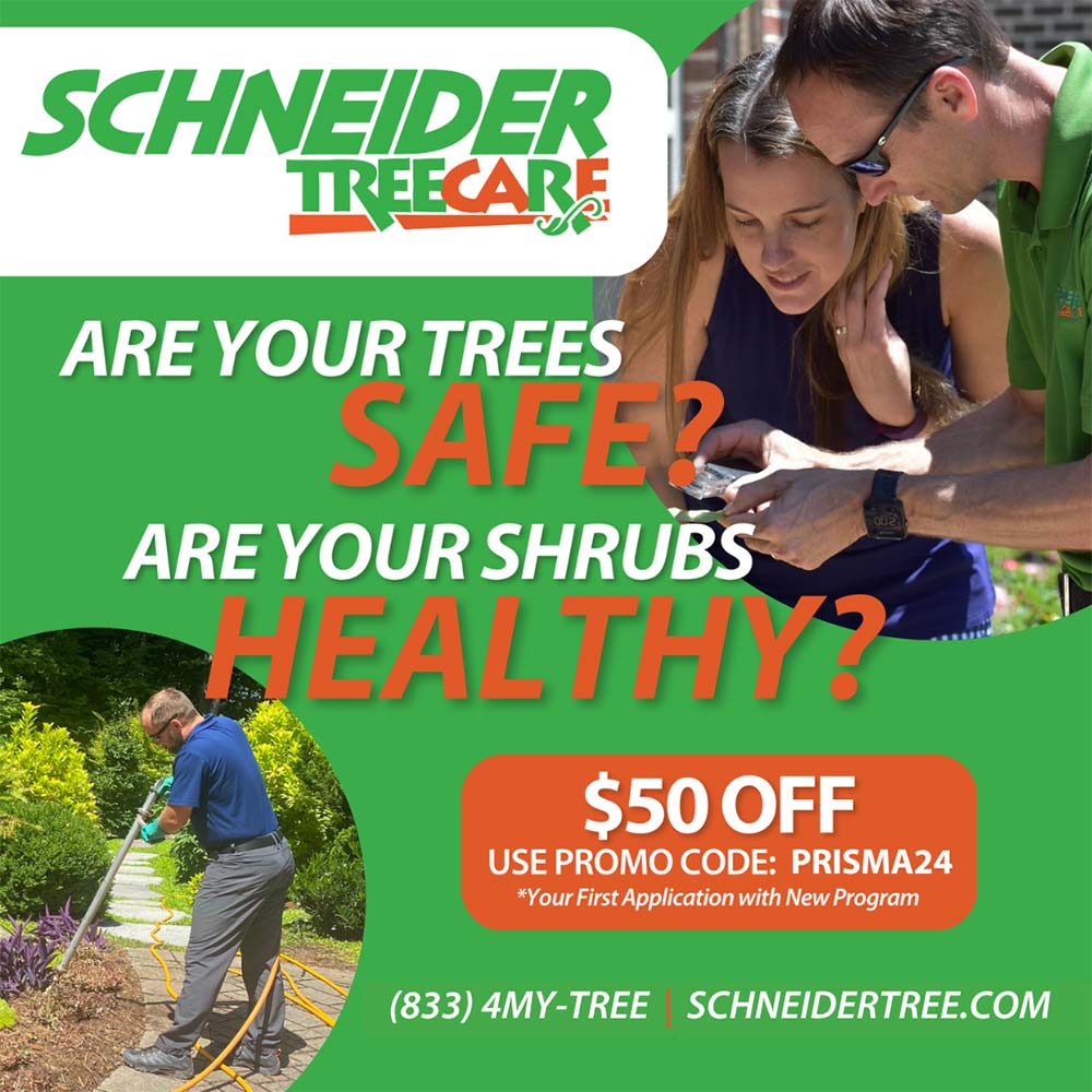 Schneider Tree Care